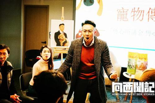 向西闻记,探寻丝绸之路的历史足迹